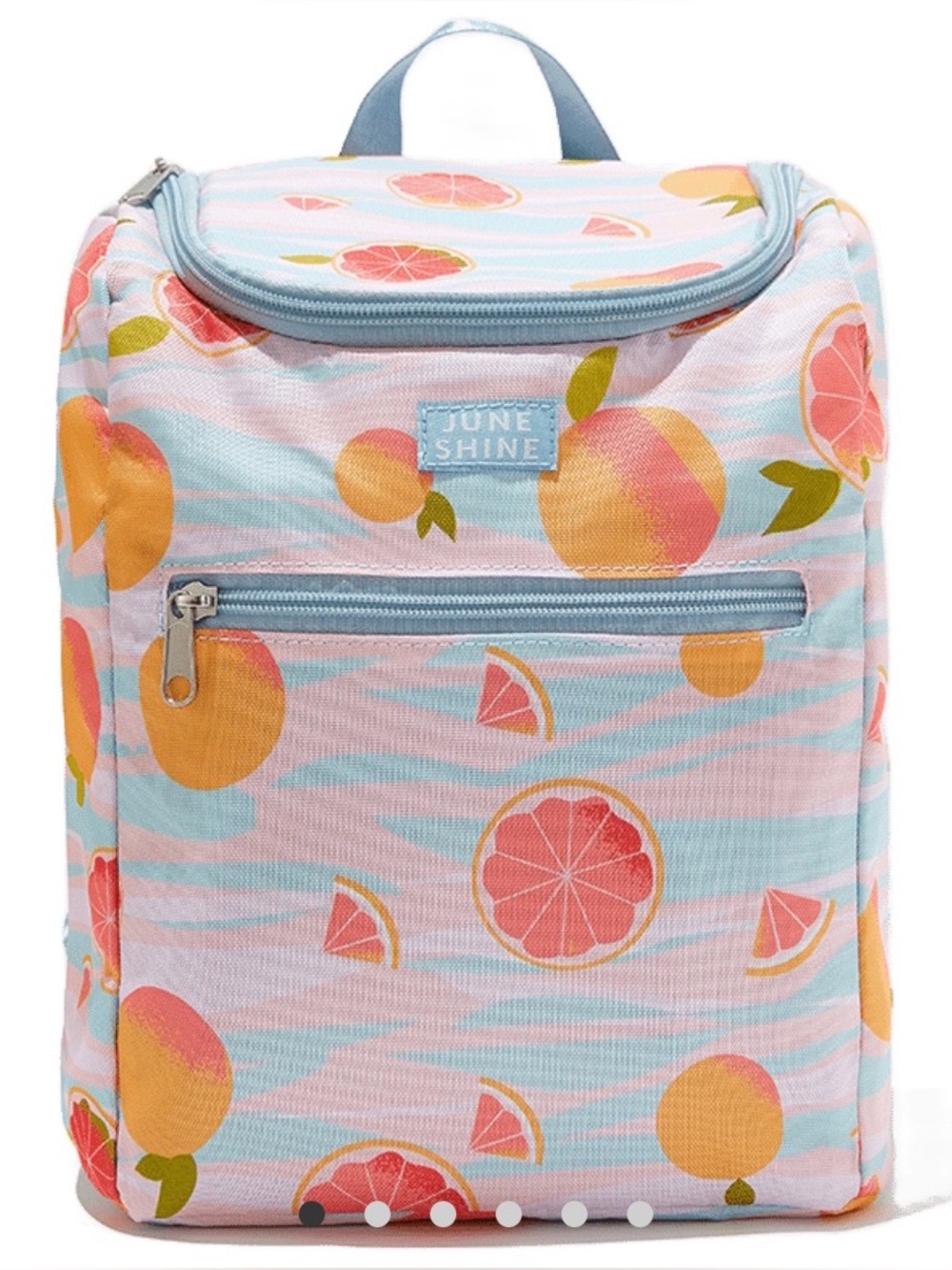 JuneShine “Summer Citrus” Insulated Cooler Backpack — NWT